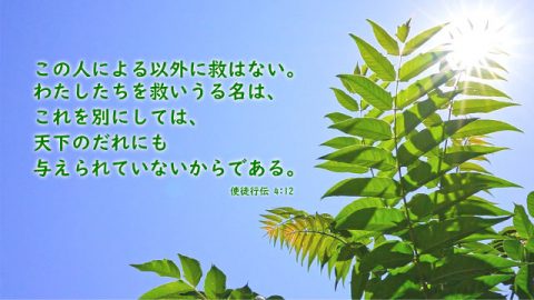 聖書の名言 励まし について 聖書の部屋 聖書の名言 励まし について 聖書の部屋