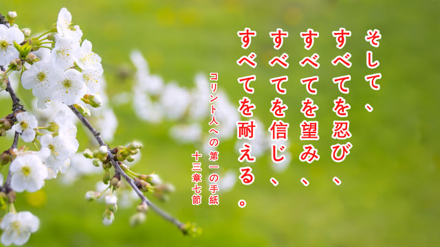 聖書の名言 希望に関する聖句 苦難の時期に信仰心と力を収める 聖書の部屋