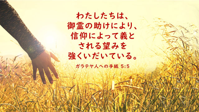 聖書の名言 聖霊 について 聖書の部屋