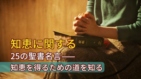 聖書名言,知恵の言葉,聖書知恵