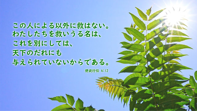 聖書の名言-「救いを得る」に関する33つの聖句