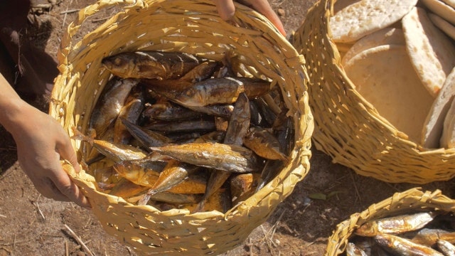 5つのパンと2匹の魚の奇跡は主イエス様のどういった御旨を伝えた
