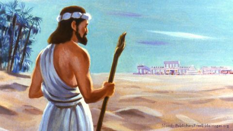 ヨナが魚に飲み込まれたことから神の性質を知る