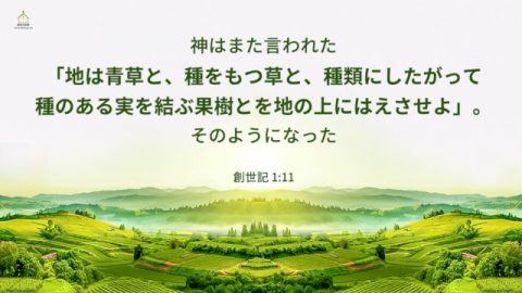 第三の日、神の言葉により地と海が生まれ、神の権威により、世界が生物で満たされた