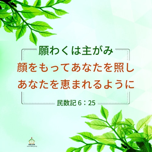 民数記,照し,恵み