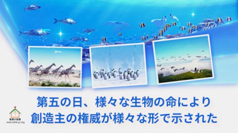 第五の日、様々な生物の命により、創造主の権威が様々な形で示された
