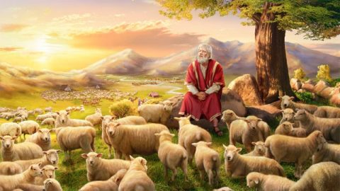 ヨブ記感想-発病や苦難もまた神の恵みです