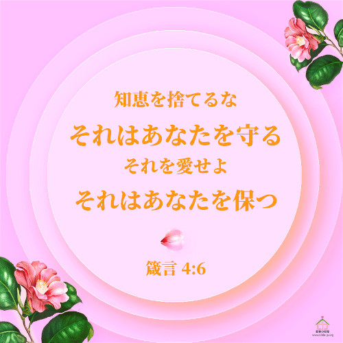 知恵を捨てるな,それはあなたを守る,箴言書