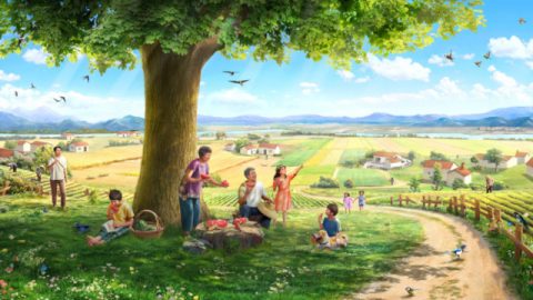 物語,種,土,木,日光,鳴き鳥,そして人間