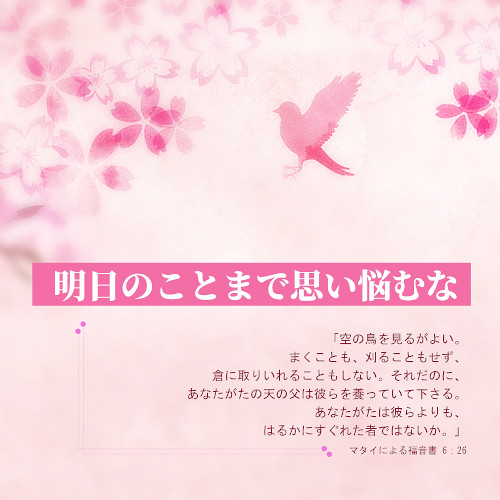 聖句カード,明日のことまで思い悩むな