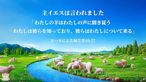 聖書の言葉, わたしの羊は私の声に聞き従う, ヨハネによる福音書10章27節