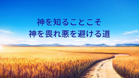 神を知ることこそ神を畏れ悪を避ける道
