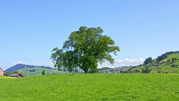 死がわたしに迫ってきた時、奇跡が起こった